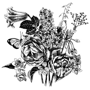 黑色和白色手绘制园林花卉