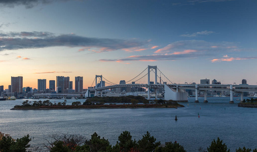 特写美丽和甜美的暮光之夜鸟瞰东京湾, 彩虹桥和东京塔地标从水上城市