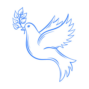 矢量鸽子. 手绘和平插图鸽子与ol照片