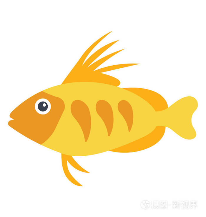 中型淡水热带鱼类 可变板状鱼插画 正版商用图片0q2ke0 摄图新视界 中型淡水热带鱼类 可变板状鱼插画 正版商用图片0q2ke0 摄图新视界