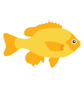 海歌蒂鱼也被称为 lyretail coralfish