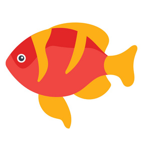 小尾巴一条小尾巴的可爱热带条纹花纹鱼照片