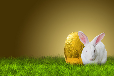 复活节兔子和金黄色的蛋