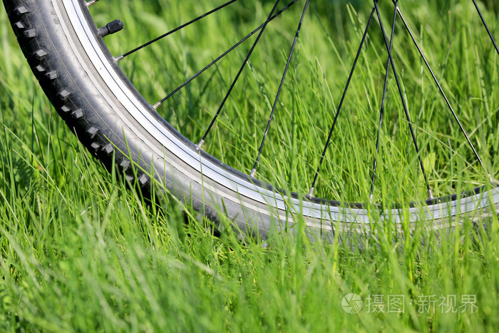 草地上的自行车轮