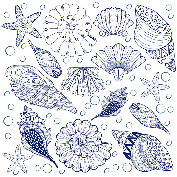 矢量集贝壳带状蓝色贝壳用于成人防螺纹