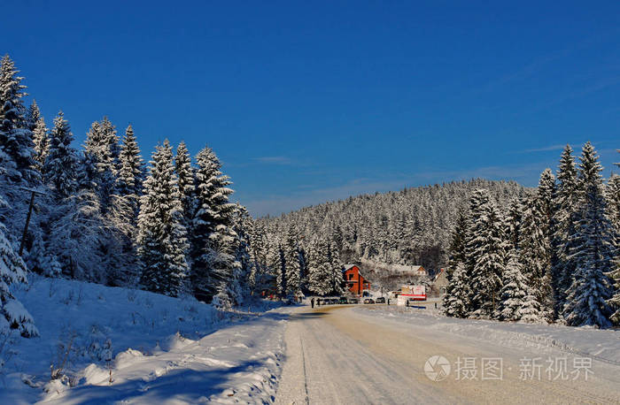 许多针叶树覆盖着积雪。在雪地里有一条有汽车痕迹的路。