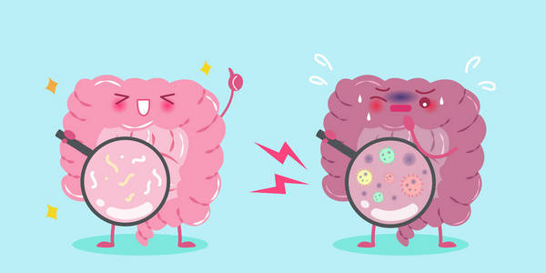 消化道卡通可爱的卡通肠照片