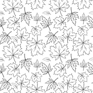 秋天落叶图案, 手画素描风格, 黑白矢量插图照片