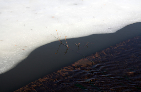 湖上的树枝和冰