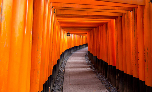 红托里门在伏见 inari 神社在京都，日本