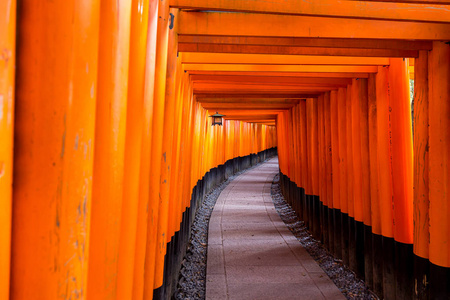 红托里门在伏见 inari 神社在京都，日本