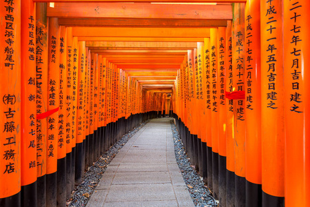 红托里门在伏见 inari 神社在京都，日本