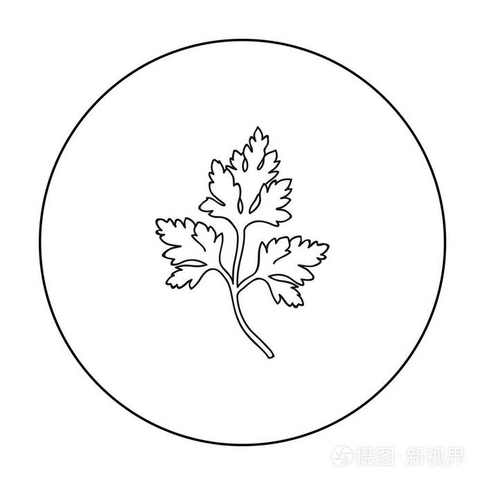 草本香料象征股票矢量图插画-正版商用图片0q2w2d-摄图新视界