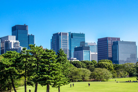 在东京，日本帝国宫东花园