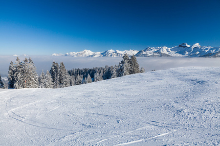 Ibergeregg，行政区 Schwyz 瑞士