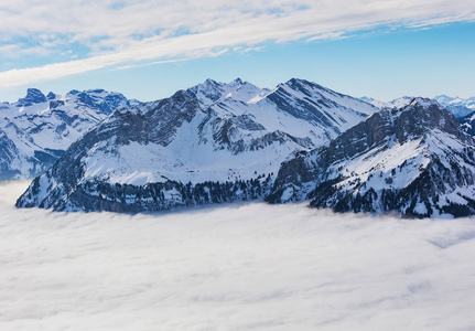 阿尔卑斯山顶从雾的海上升冬天看法从 Fronalpstock 山在 Schwyz 的瑞士小行政区