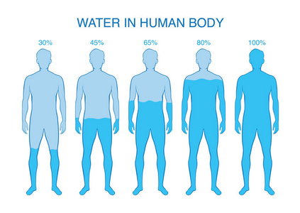 人体水的差异百分比