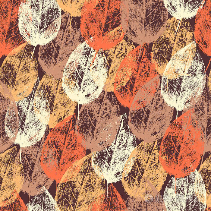 无缝矢量模式,草药的纹理,装饰背景壁纸, 纺织, 包装有机天然项目设计