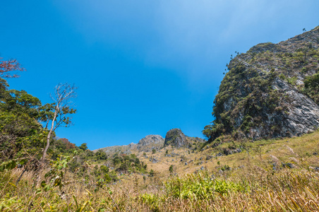 Doi 銮清道山自然公园景观