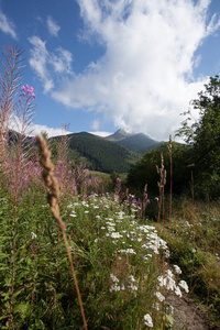 徒步旅行在 Tatra 国家公园斯洛伐克, 波兰。Landscpes 和全景与山范围