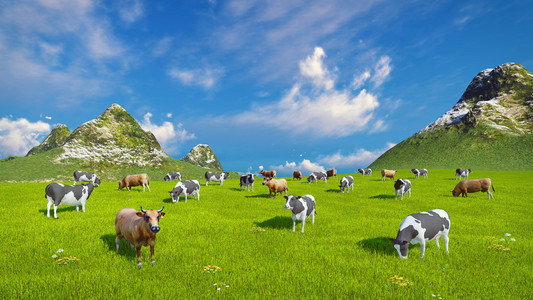 牧场奶牛图片