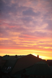 清晨明亮多彩的粉红色北方黎明