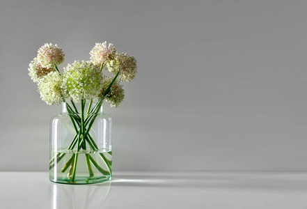 简约花花束在简单的玻璃花瓶, 前面看法, 空间为文本