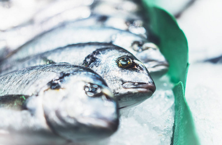 捕捞和塑料污染大白海鳊许多盐水鱼在意大利领班拖网渔船甲板厂船上的