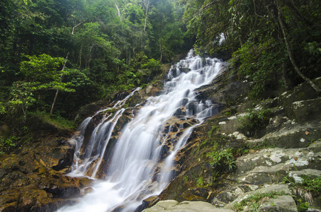 令人惊叹的热带瀑布。湿和长满苔藓的岩石，包围绿色雨林