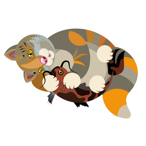 猫抱鱼图片