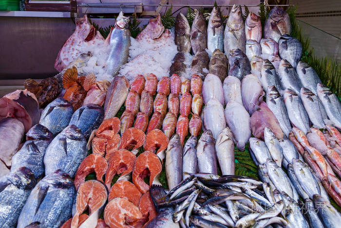 土耳其伊斯坦布尔鱼类市场上的各式海鲜和鱼特写, 选择性对焦.