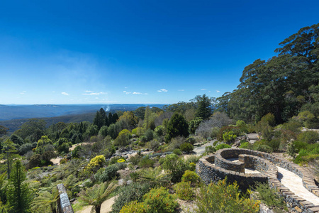 澳大利亚蓝山植物园图片