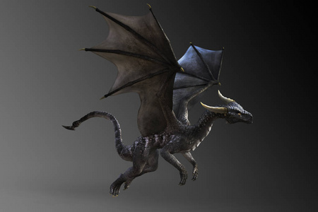 梦幻飞黑龙插画照片