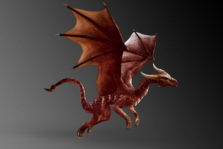 梦幻飞红龙插画照片