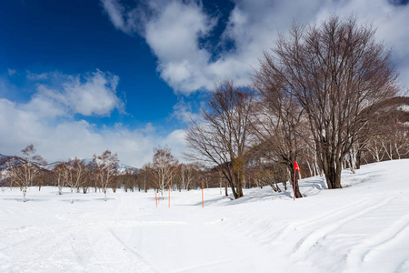 雪国素材图片 雪国图片素材下载 摄图新视界