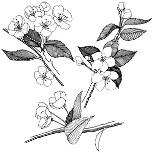 苹果纹理图片-苹果纹理素材-苹果纹理插画-摄图新视界