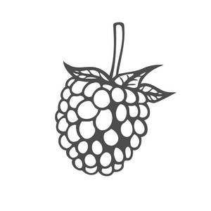 树莓浆果图片-树莓浆果素材-树莓浆果插画-摄图新视界