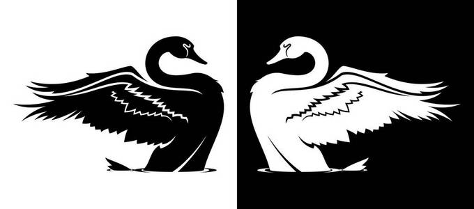 黑白天鹅少女图片