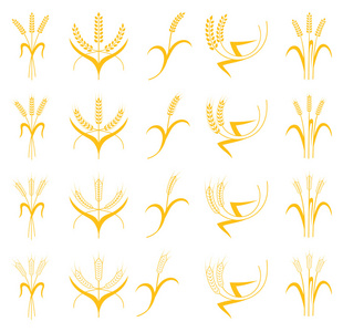 耳朵的小麦 大麦和黑麦矢量视觉图形图标集