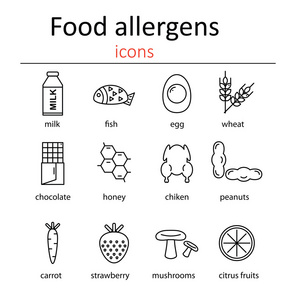 食品过敏原的图标集。图标的食物过敏原。矢量图