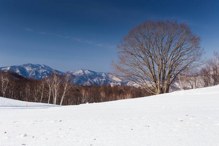 日本日间的新泻地区雪国观