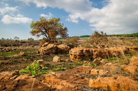 Graskop 附近的姆普马兰加地区。布莱德河河峡谷, 南非