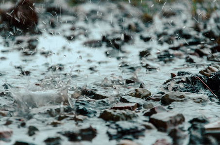 滴上水大雨