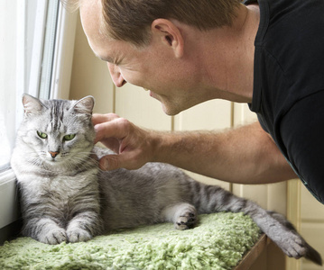 年轻的灰色小猫猫和男人, 幸福的猫和年轻人的肖像, 人们玩的小猫.