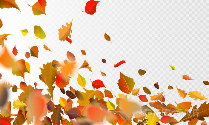 股票矢量插画秋季落叶的透明格子背景。秋季落叶和杨树叶片在风动模糊中飞行。橙色设计为秋天设计。Eps10