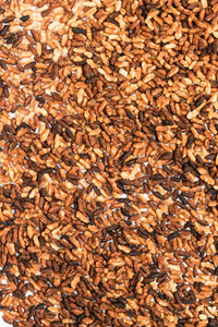 糙米原生种子背景
