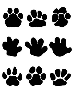 马脚河马的脚印照片