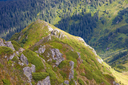 在阳光明媚的夏日的喀尔巴阡山脉全景