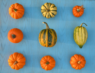 杰克太小蓝色木制背景下的小南瓜照片