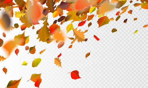 股票矢量插画秋季落叶的透明格子背景。秋季落叶和杨树叶片在风动模糊中飞行。橙色设计为秋天设计。Eps10
